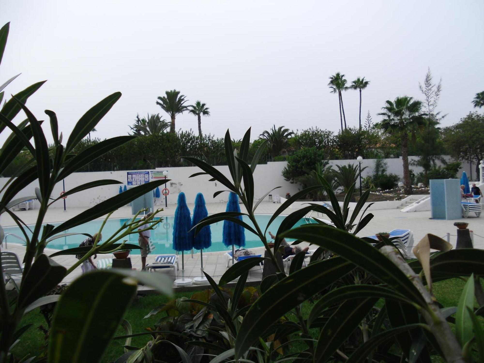 פלאייה דל אינגלז Apartamentos Aloe מראה חיצוני תמונה